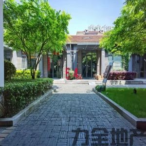 锦和越界乐平方