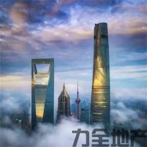 上海中心大厦陆家嘴免佣