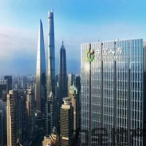陆家嘴中国人寿金融中心