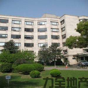 锦泰办公楼联合办公