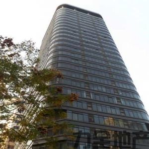 裕丰国际大厦联合办公