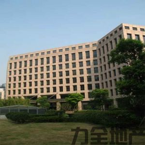 晨讯科技大楼联合办公