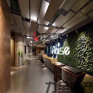 Raise(仙乐斯广场)