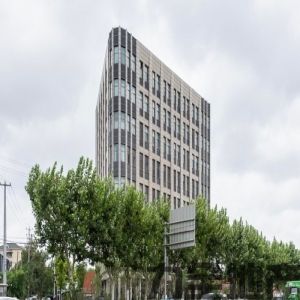 双鸿大楼联合办公