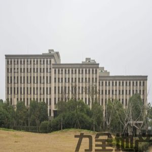 扬子江国际企业广场联合办公