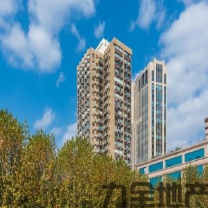 雁荡大厦联合办公