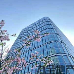 静安区金融街中心