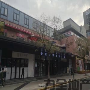 上海市静安区广中西路灵石路718号大宁中心三期