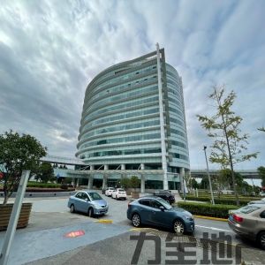 礼德国际